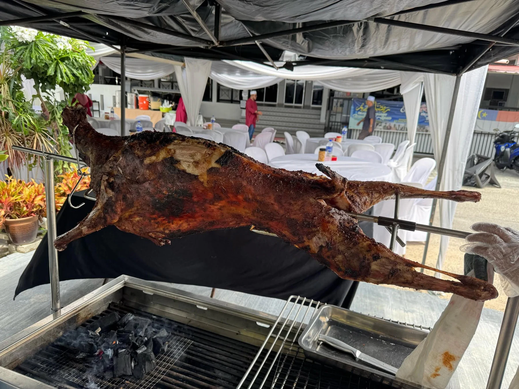 Kambing golek keperangan siap diangkat dari bara